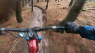 sketchy red Cannock chase mtb.