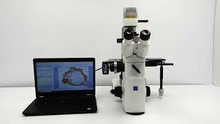 Zeiss Axio Vert.A1 LED Fluorescence Inverted Microscope [BOSTONIND] -  53529