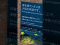 沖縄県読谷村の素敵なカフェ「banta cafe by 星野リゾート」ヨミタンリゾート shorts 沖縄旅行 沖縄カフェ バンタカフェ 星野リゾート ニライビーチ 沖縄観光