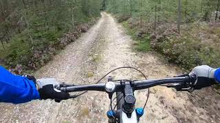 20190811. MTB Bergafjärden/Björköfjärden