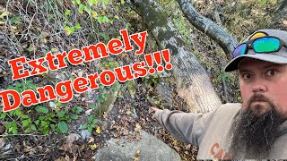 I almost DIED fishing for trout and smallmouth bass!!