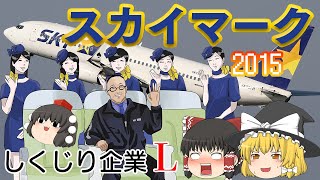 独立を貫こうとした空の暴れん坊【しくじり企業L】スカイマーク2015