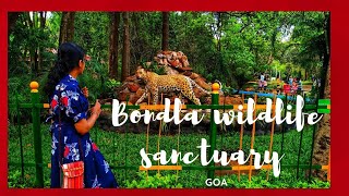 Bondla wildlife sanctuary | Zoo| Goa| travel and cookies