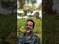 Ark Survival Ascended Looks MAGNIFICENT! #nitrado #unrealengine5 #memes