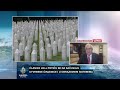Šta stoji u finalnom prijedlogu rezolucije o genocidu u Srebrenici