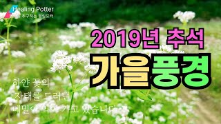 [추석] 2019 추석 가을풍경(feat 오곡백과 풍성한 한가위)