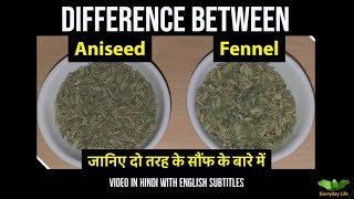 Difference between Aniseed and Fennel | Sauf | दो तरह के सौंफ -पतली और मोटी सौफ  | Everyday Life #81