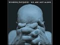 Breaking Benjamin - Firefly (Instrumental)