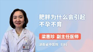 肥胖为什么会引起不孕不育 梁惠珍 湖南中医药大学第二附属医院（湖南省中医院）