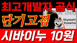 [시바이누코인] 단독공개 최고개발자 쿠사마 시토시는 말했습니다. 곧 엄청난 발표가 있을겁니다