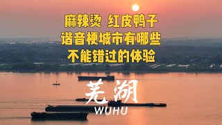 谐音梗城市芜湖，到底适不适合旅游