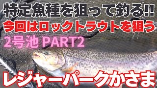 ロックトラウトを狙って釣る！レジャーパークかさま さん　2号池のPART2 完全ドキュメンタリー　攻略するまでの全過程をお見せします！　少しでも参考になれば幸いです。