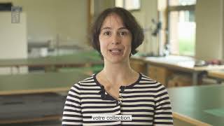 Conservation: Separating Pages (French)