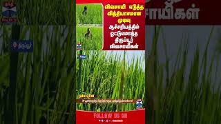 FARMER || TIRUPUR || TAMILNADU || FIELD