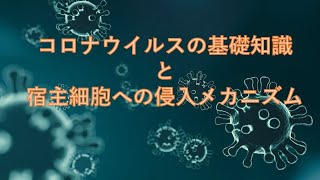 コロナウイルスの基礎知識と宿主細胞への侵入メカニズム