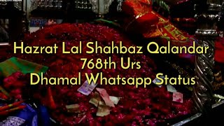 Lal Shahbaz Shah Ki Chadar || Lal Shahbaz Qalandar Dhamal Whatsapp Status || 768th Urs Mubarak
