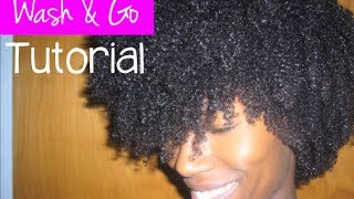 Wash and Go Tutorial (Defining 4a/4b natural hair)- -Kasheera Latasha