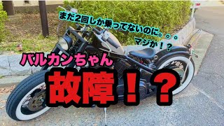 【Kawasaki】納車から2回しか乗ってないのにバルカン故障！？【バルカン400クラシック】