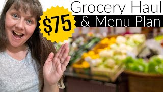 $75 Weekly Grocery Haul and Menu Plan- Food Lion & Discount Grocery Store