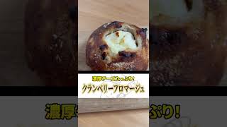 濃厚チーズ入りすぎ！クランベリーフロマージュ