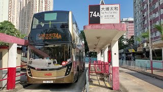 Hong Kong Bus KMB ATENU917 @ 74A 九龍巴士 Alexander Dennis Enviro500 MMC New Facelift 啟業 - 太和