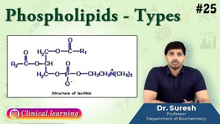 25. Phospholipids - Types