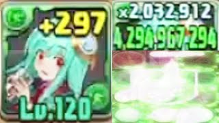 学園アテナのはみパンfinish【パズドラ 百花繚乱３】