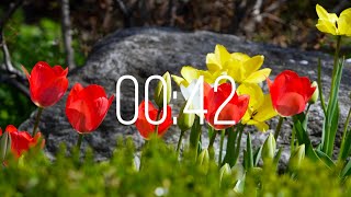 42 Second Timer with Music | Spring Timer🌹