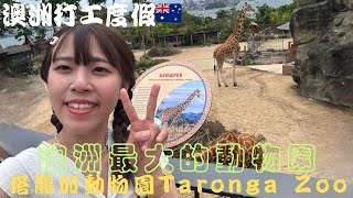 【例如說】澳洲最大的動物園Taronga Zoo | #vlog #澳洲打工度假 #澳洲生活 #雪梨 #塔隆加 #tarongazoo