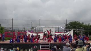 天狗ぅ（犬山踊芸祭2016）二日目・メイン会場