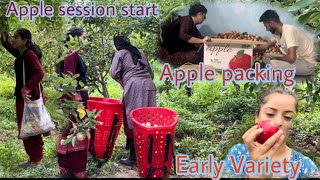 Apple Session Start// Early Variety//Shimla//Pahadi lifestyle vlog// Pahadi jahan ❤️