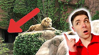 This zoo in Chicago is EXTREMELY HAUNTED 😱