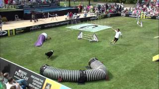 Large Dog Agility 1st Place - 2015 Incredible Dog Challenge National Finals Gray Summit, MO