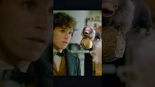 Newt's Fantastic Beasts#movie #shorts