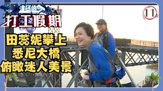 澳洲旅遊 | 超齡打工假期 11/15 | 田蕊妮攀上悉尼大橋俯瞰迷人美景 | 鄭裕玲、王菀之、許紹雄、梁烈維、田蕊妮、譚詠麟、陳百祥、彭健新 | 粵語中字 | TVB 2014