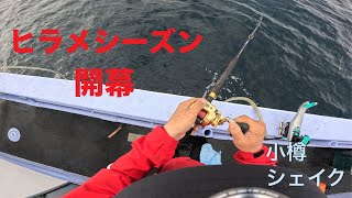 【バケヒラメ】2025シーズン開幕！今シーズンはシェイクさんで開幕戦！