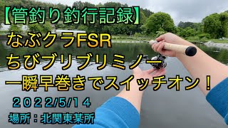 【管釣り釣行記録】2022.5.14（なぶクラFSR、ちびブリブリミノー、一瞬早巻きでスイッチオン！)