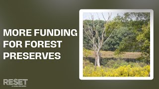 Chicago's suburban county voters back funding for forest preserves | Reset with Sasha-Ann Simons