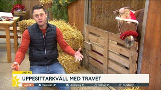 Per Skoglund bjuder på uppesittarkväll med trav - Nyhetsmorgon (TV4)