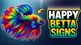 6 SILENT SIGNS That Your BETTA Fish Are HAPPY And HEALTHY!