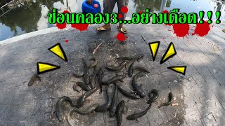 ตกปลาช่อนคลอง3...อย่างเดือด!!!Fish BattleEP.39(#ตกปลาข้างทาง #ตกปลาคลองธรรมชาติ #ตกปลาช่อน )