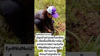 ปลูกป่าช่วยลดโลกร้อนเพิ่มพื้นที่สีเขียวเพิ่มบรรยากาศความร่มรื่น #NdiNoiบ้านสวนป่า  #คนบ้าปลูกต้นไม้
