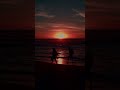 surreal sunset goa shorts