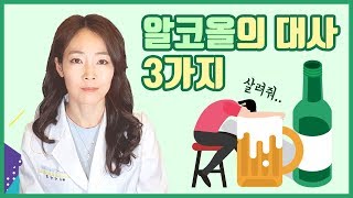 술의 대사과정? 알코올 대사에 대하여 [제니의 드럭스토어]