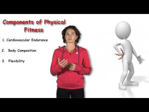 What are the components of physical education and their meaning?