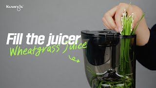 Tapasztalja meg a búzafűlé problémamentes előnyeit a Kuvings Juicer segítségével!😲🥬