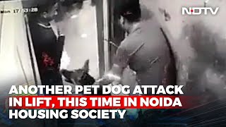 Video: Another Pet Dog Attack In Lift, This Time In Noida Housing Society