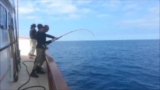 Cory's First Yellowfin Tuna