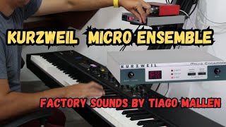 KURZWEIL MICRO ENSEMBLE - FACTORY SOUNDS by TIAGO MALLEN (MODULE SOUND) PUNCH LINDO! #kurzweil