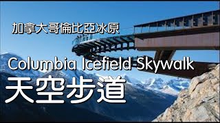 加拿大哥伦比亚冰原天空步道 Columbia Icefield Skywalk